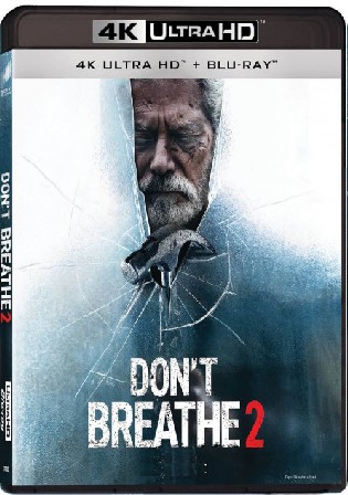 Dont Breathe 2 2021 BluRay 350MB Hindi Dual Audio ORG 480p ESubs Watch Online Full Movie Download bolly4u