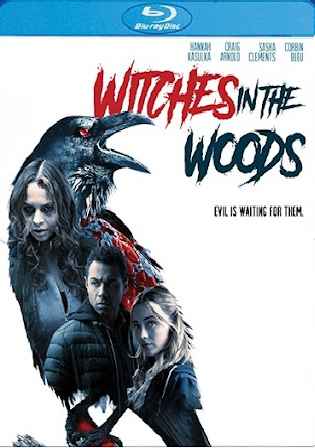 Witches In The Woods 2019 BluRay 300Mb Hindi Dual Audio 480p