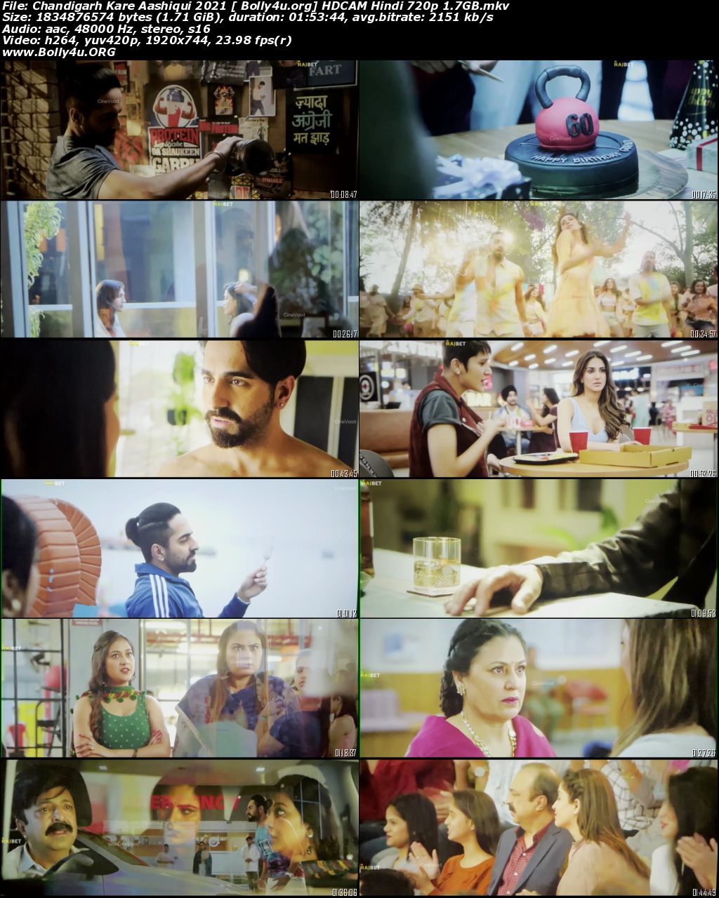 Chandigarh Kare Aashiqui 2021 HDCAM Hindi Movie Download 720p
