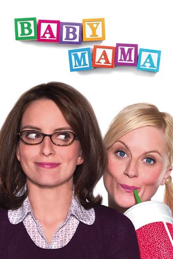 Baby Mama 2008 Hindi Dual Audio 1080p 720p 480p BluRay ESubs
