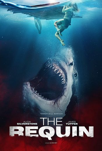 The Requin 2022 English 720p 480p Web-DL ESubs