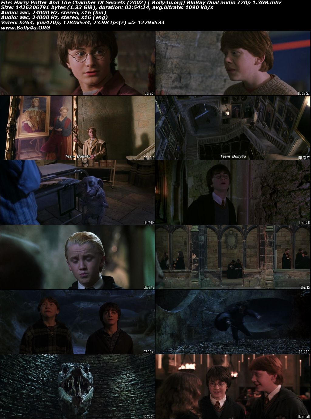 Harry Potter And The Chamber Of Secrets 2002 BRRip Hindi Dual Audio 720p Download