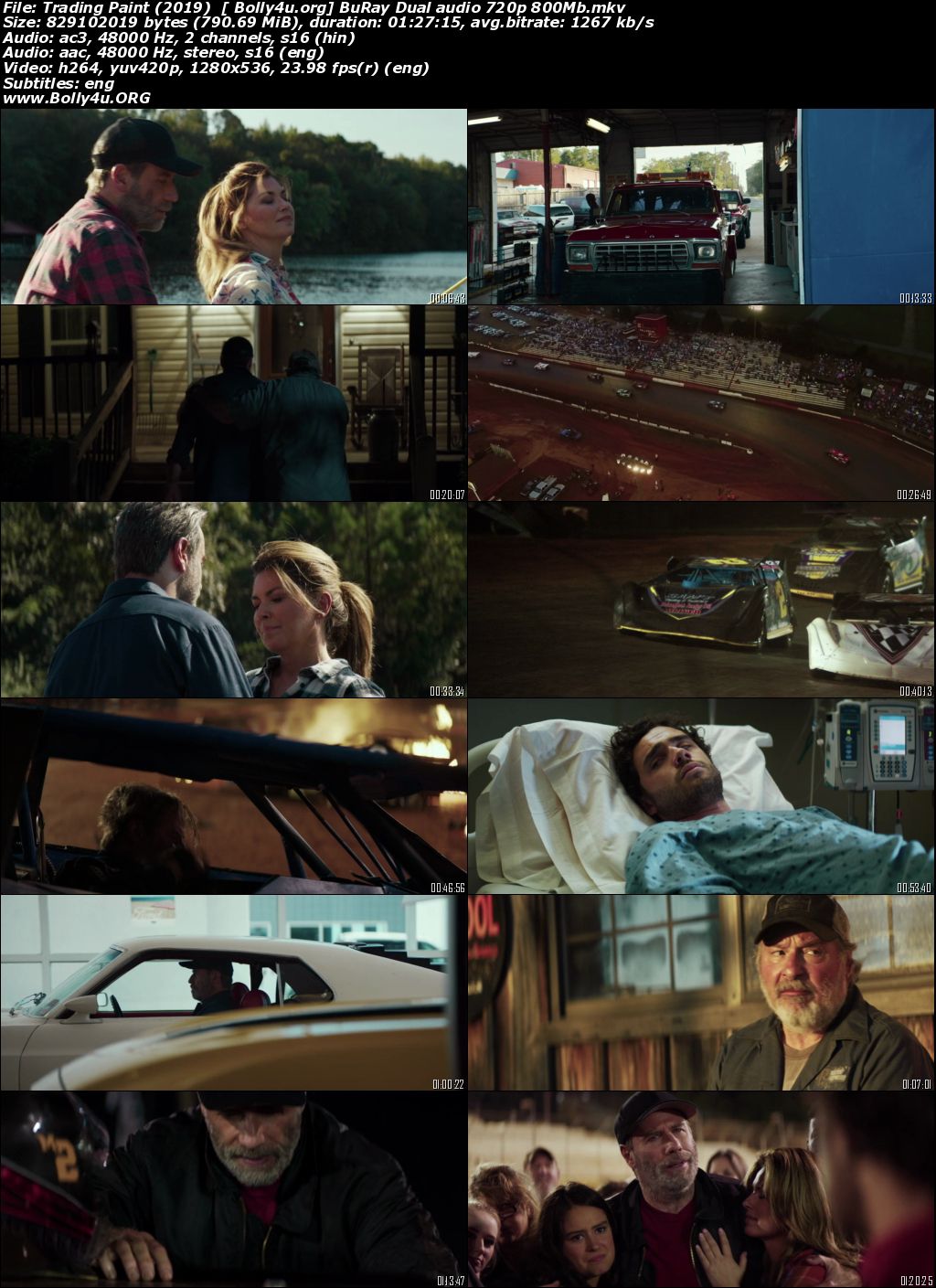 Trading Paint 2019 BluRay 300Mb Hindi Dual Audio 480p Download