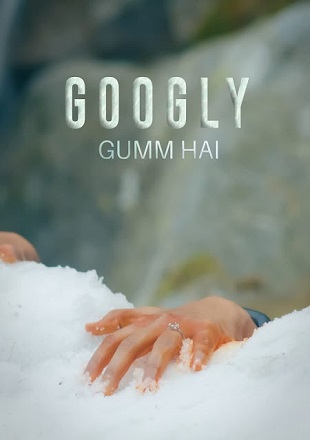 Googly Gumm Hai 2022 WEB-DL 550Mb Hindi Movie Download 720p Watch Online Free bolly4u
