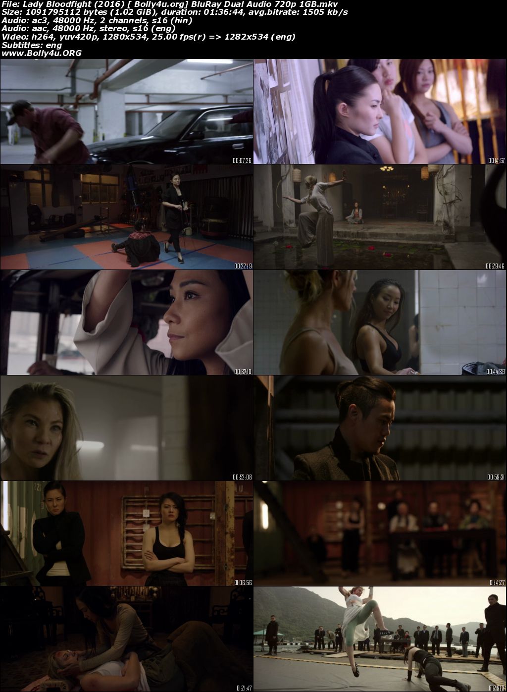 Lady Bloodfight 2016 BluRay Hindi Dual Audio 720p 480p Download