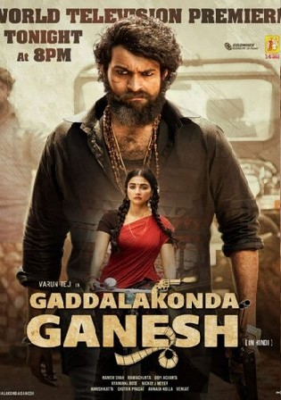 Gaddalakonda Ganesh 2019 WEB-DL UNCUT Hindi Dual Audio 720p 480p Download Watch Online Free bolly4u