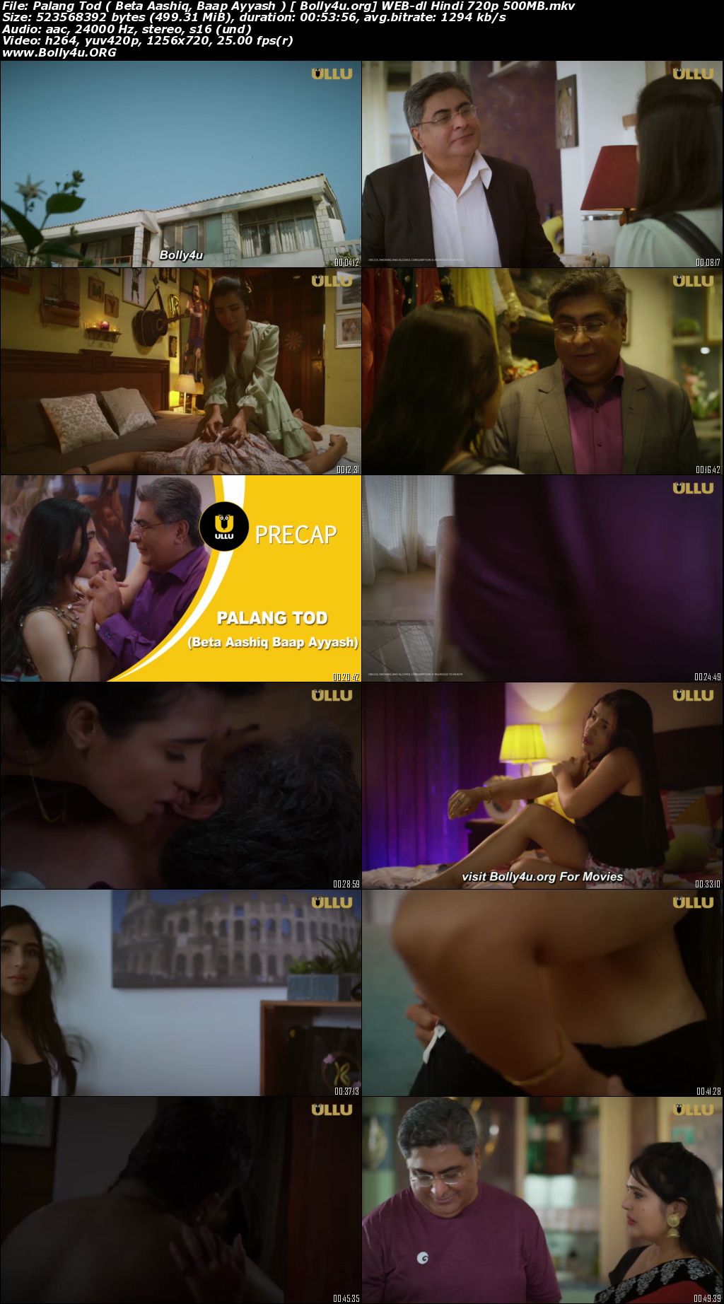 Palang Tod Beta Aashiq, Baap Ayyash 2022 WEB-DL Hindi 720p Download