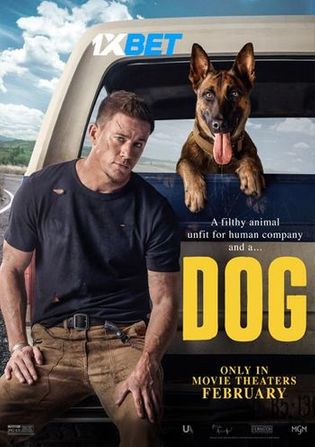 Dog 2022 HDCAM 750MB Tamil (Voice Over) Dual Audio 720p Watch Online Full Movie Download bolly4u