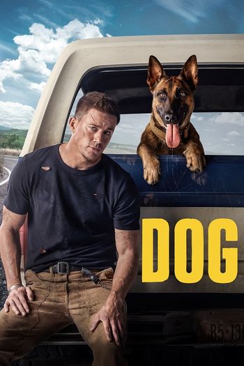 Dog 2022 English 1080p 720p 480p Web-DL ESubs