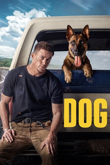 Dog (2022) WEB-HDRip [English DD2.0] 1080p & 720p & 480p x264 ESubs | Full Movie