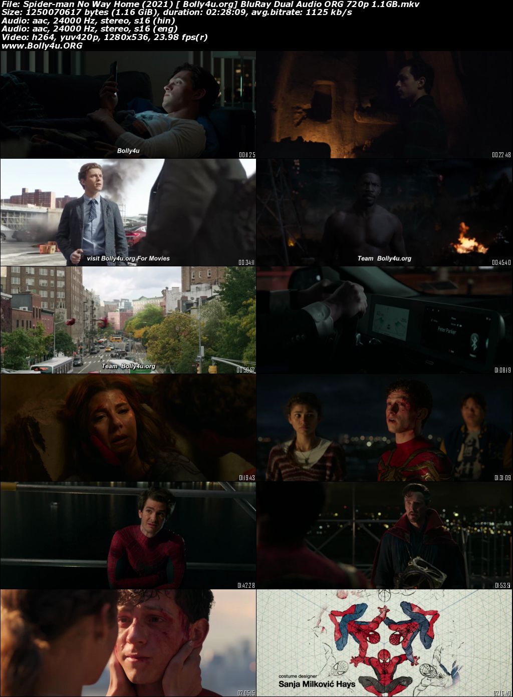 Spider-Man No Way Home 2021 BRRip Hindi Dual Audio ORG 720p 480p Download