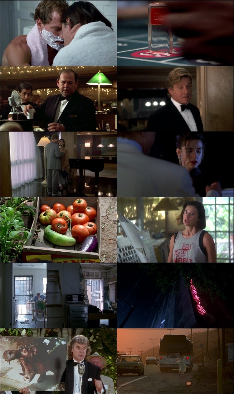 Indecent Proposal 1993 Hindi Dual Audio BRRip Full Movie 480p Free Download