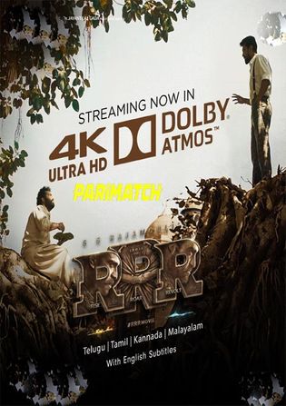 RRR 2022 WEB-HD 750MB Telugu (Voice Over) Dual Audio 720p Watch Online Full Movie Download bolly4u