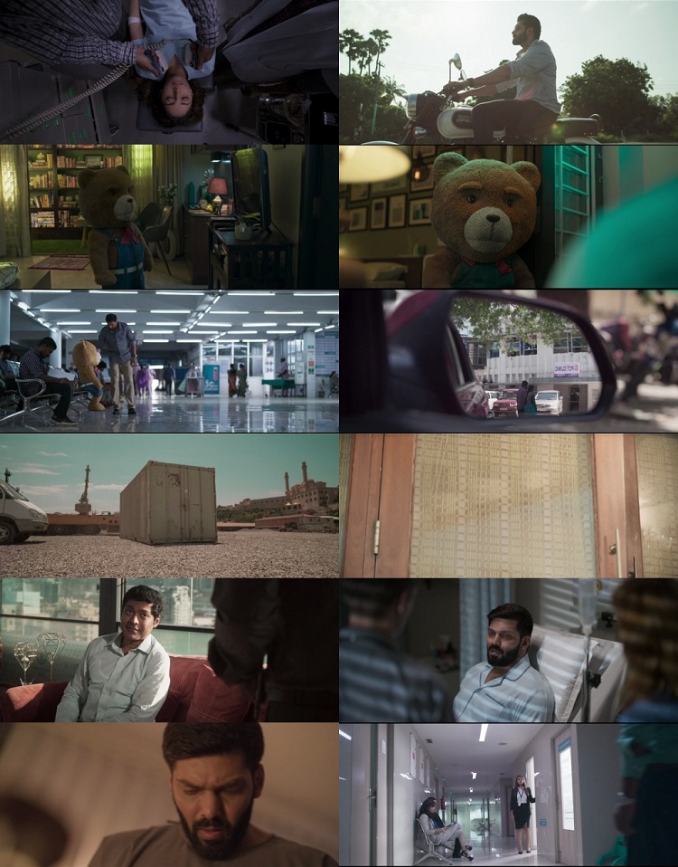 Teddy (2021) UNCUT 1080p | 720p | 480p Web-HDRip [Hindi ORG (DD 2.0) + Tamil]