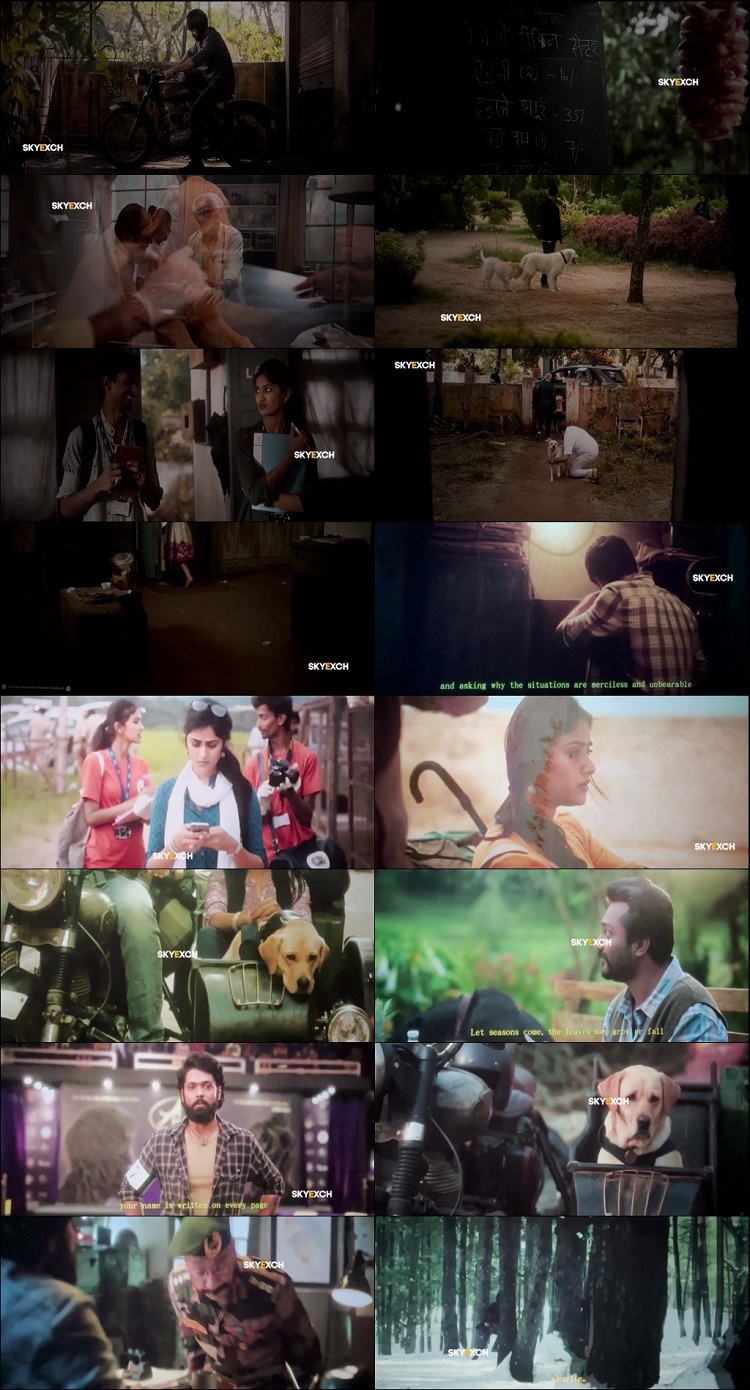 777 Charlie 2022 Hindi 1080p 720p 480p Pre-DVDRip x264 777 Charlie 2022 Hindi 1080p 720p 480p Pre-DVDRip x264