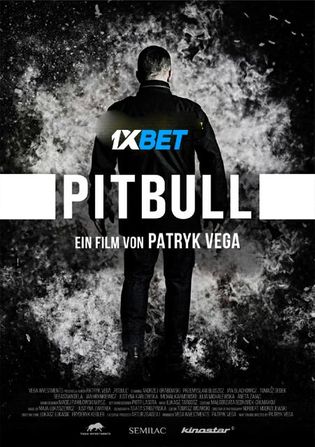 Pitbull 2021 WEB-HD 750MB Telugu (Voice Over) Dual Audio 720p Watch Online Full Movie Download bolly4u