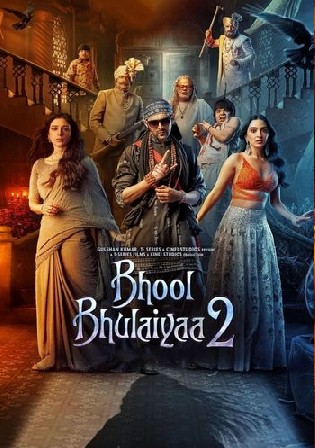 Bhool Bhulaiyaa 2 2022 WEB-DL Hindi Movie Download 1080p 720p 480p Watch Online Free bolly4u