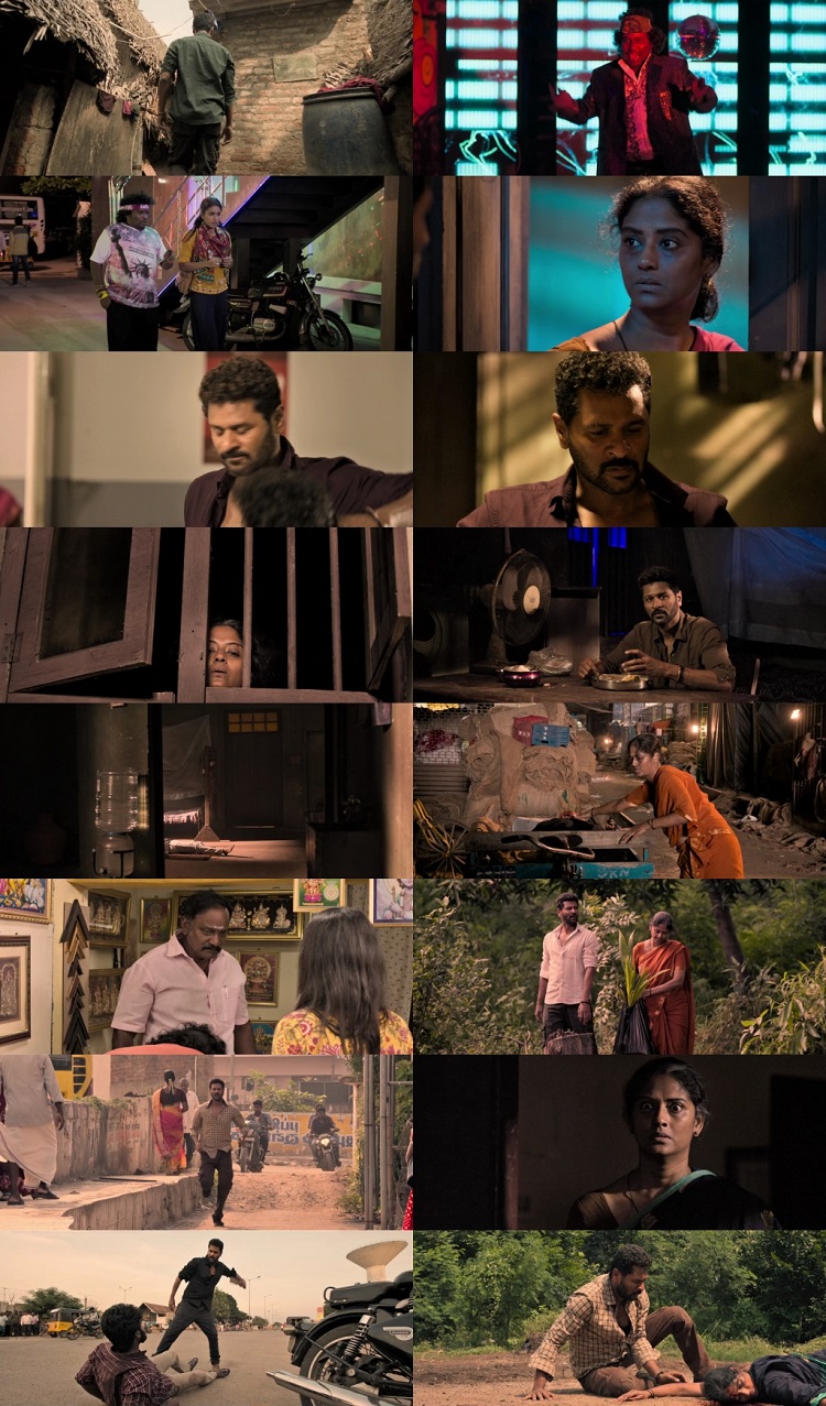 Theal 2022 Web-DL ESubs Theal 2022 Hindi Dual Audio Web-DL ESubs