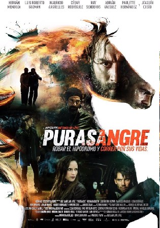Purasangre 2016 BluRay Hindi Dual Audio Full Movie 720p 480p Download Watch Online Free bolly4u