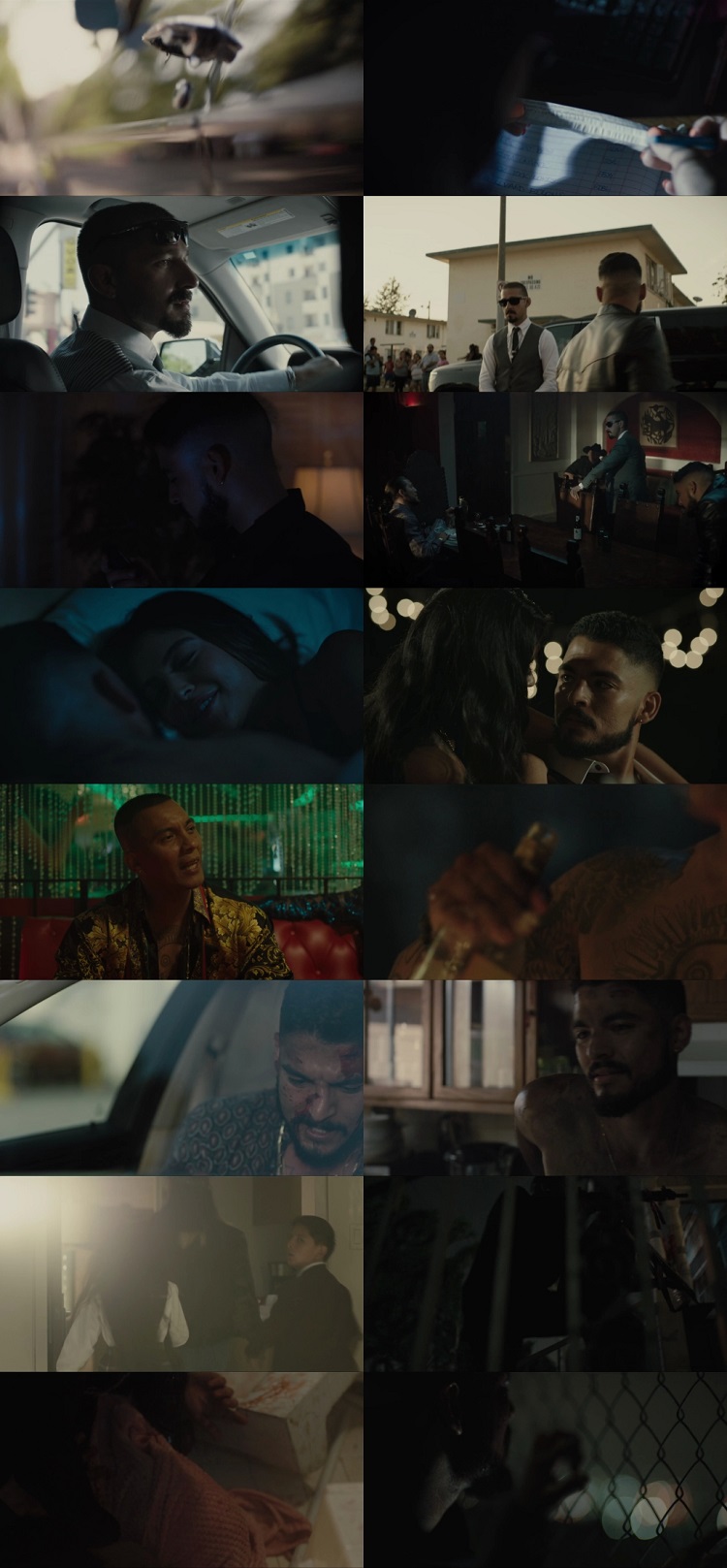 The Tax Collector 2020 Hindi Dual Audio 1080p 720p 480p Web-DL ESubs HEVC The Tax Collector 2020 Hindi Dual Audio 1080p 720p 480p Web-DL ESubs HEVC