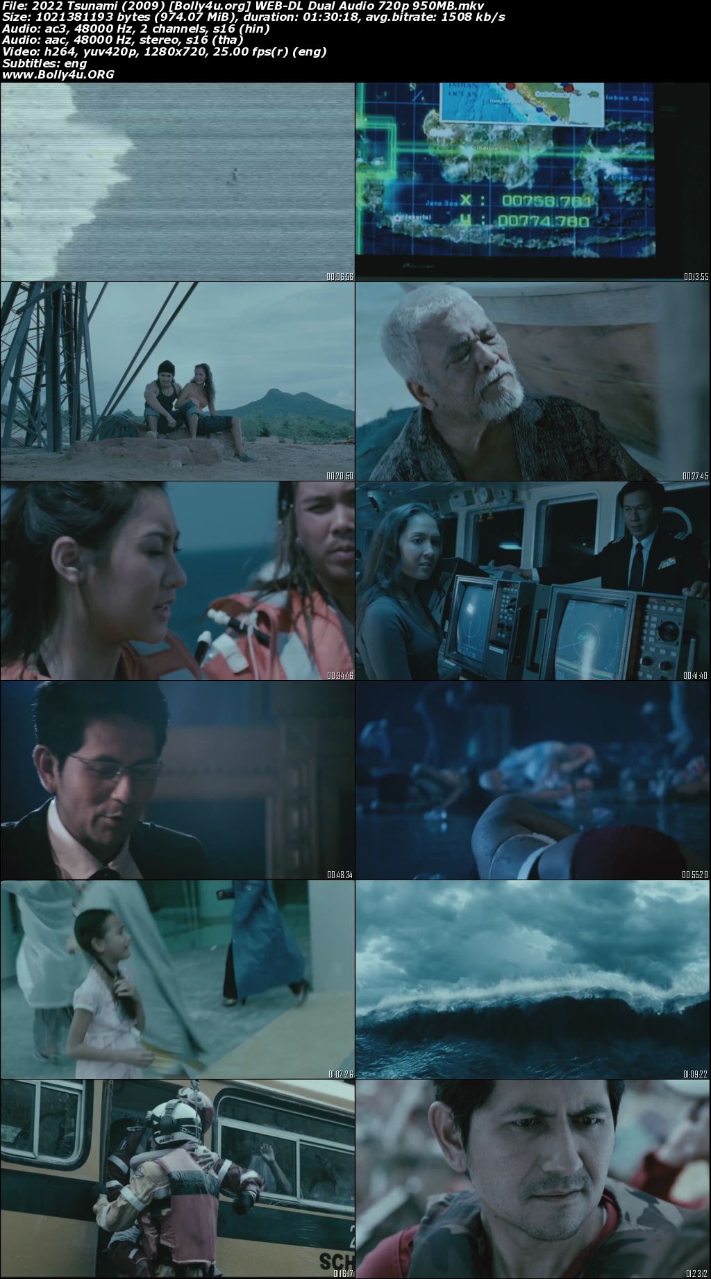 2022 Tsunami 2009 WEB-DL Hindi Dual Audio Full Movie Download 720p 480p