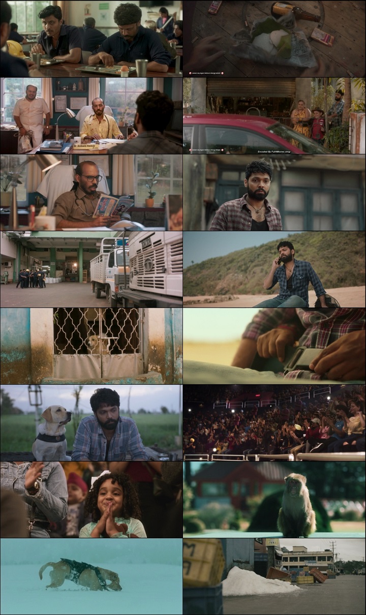 777 Charlie 2022 1080p WEB HDRip Dual Audio Hindi ORG Clean Kannada x264 AAC DDP 2.0 ESub By Full4Movies