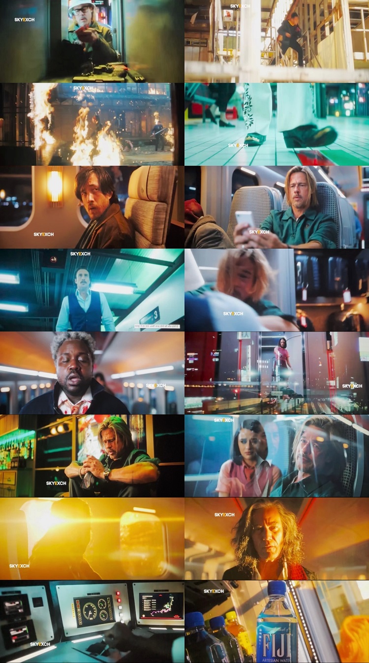 Bullet Train 2022 Hindi Dubbed 1080p 720p 480p HQ S-Print Rip x264
