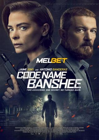 Code Name Banshee 2022 WEB-HD Hindi (Voice Over) Dual Audio 720p