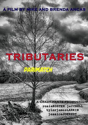 Tributaries.2021.720p.WEBRi 2