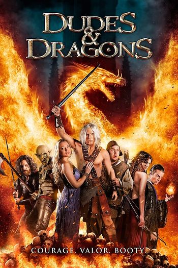 Dudes & Dragons 2015 Hindi Dual Audio 720p 480p Web-DL ESubs