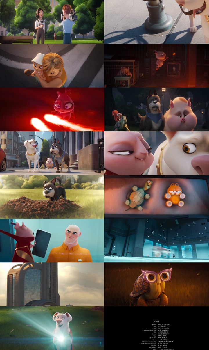 DC League of Super Pets 2022 1080p WEB HDRip Dual Audio Hindi ORG Clean English x264 AAC ESub By Full4Movies s