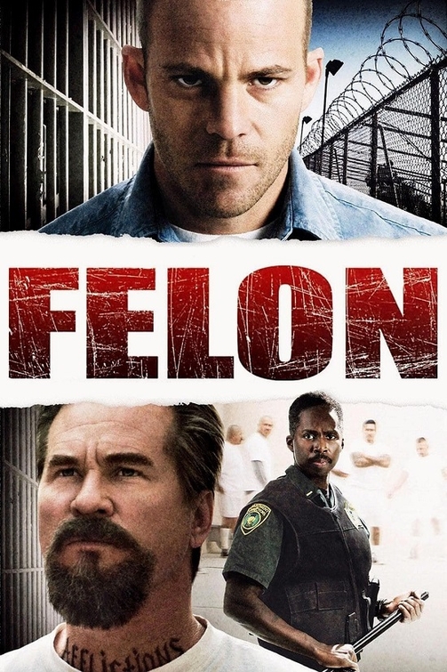 Felon 2008 Hindi Dual Audio 720p 480p BluRay ESubs