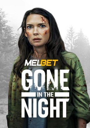 Gone in the Night 2022 WEB-Rip 800MB Hindi (Voice Over) Dual Audio 720p Watch Online Full Movie Download bolly4u