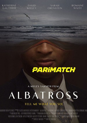 Albatross 20221