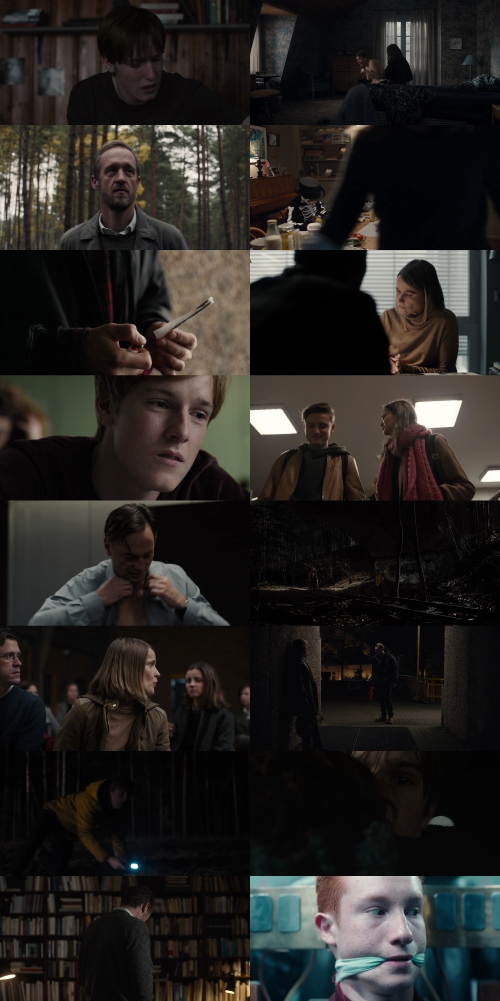 Dark 2017 S01 Complete English Dual Audio 1080p 720p 480p Web-DL MSubs