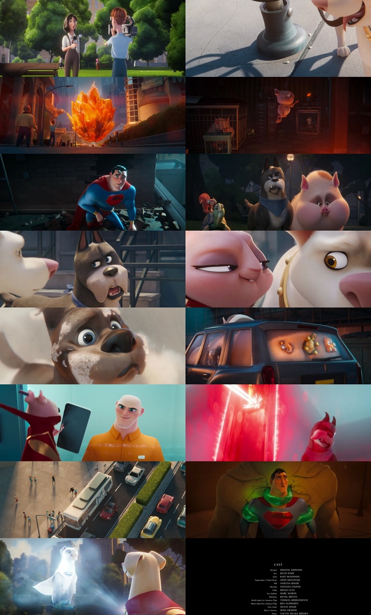 DC League of Super Pets 2022 1080p WEB HDRip Multi Audio