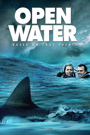 Open Water 2003 Hindi Dual Audio 720p 480p BluRay ESubs