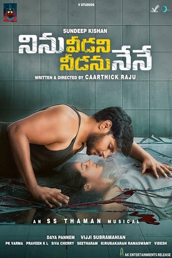Ninu Veedani Needanu Nene 2019 Hindi Dual Audio 1080p 720p 480p UNCUT HDRip ESubs HEVC