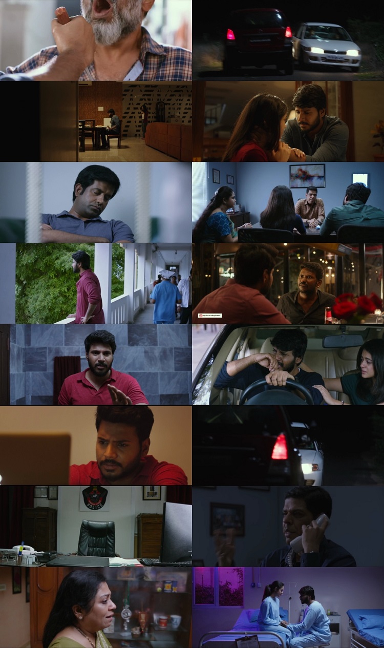 Ninu Veedani Needanu Nene 2019 Hindi Dual Audio 1080p 720p 480p UNCUT HDRip ESubs HEVC Ninu Veedani Needanu Nene 2019 Hindi Dual Audio 1080p 720p 480p UNCUT HDRip ESubs HEVC