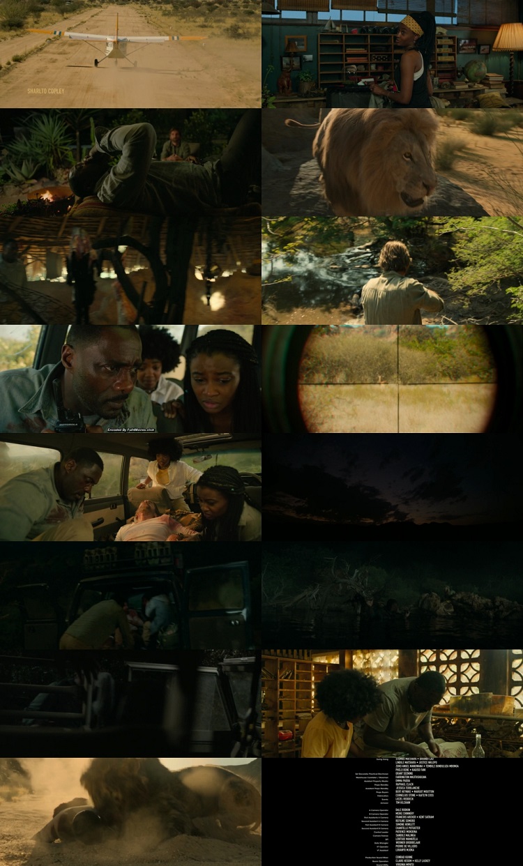 Beast 2022 Hindi Dual Audio 1080p 720p 480p Web-DL MSubs HEVC Beast 2022 Hindi Dual Audio 1080p 720p 480p Web-DL MSubs HEVC