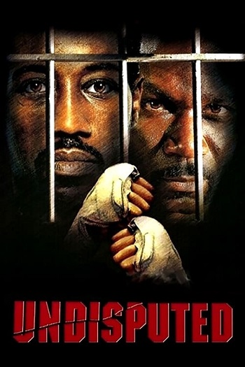 Undisputed 2002 Hindi Dual Audio 720p 480p BluRay ESubs