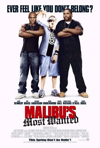 Malibu’s Most Wanted 2003 Hindi Dual Audio 720p 480p Web-DL ESubs