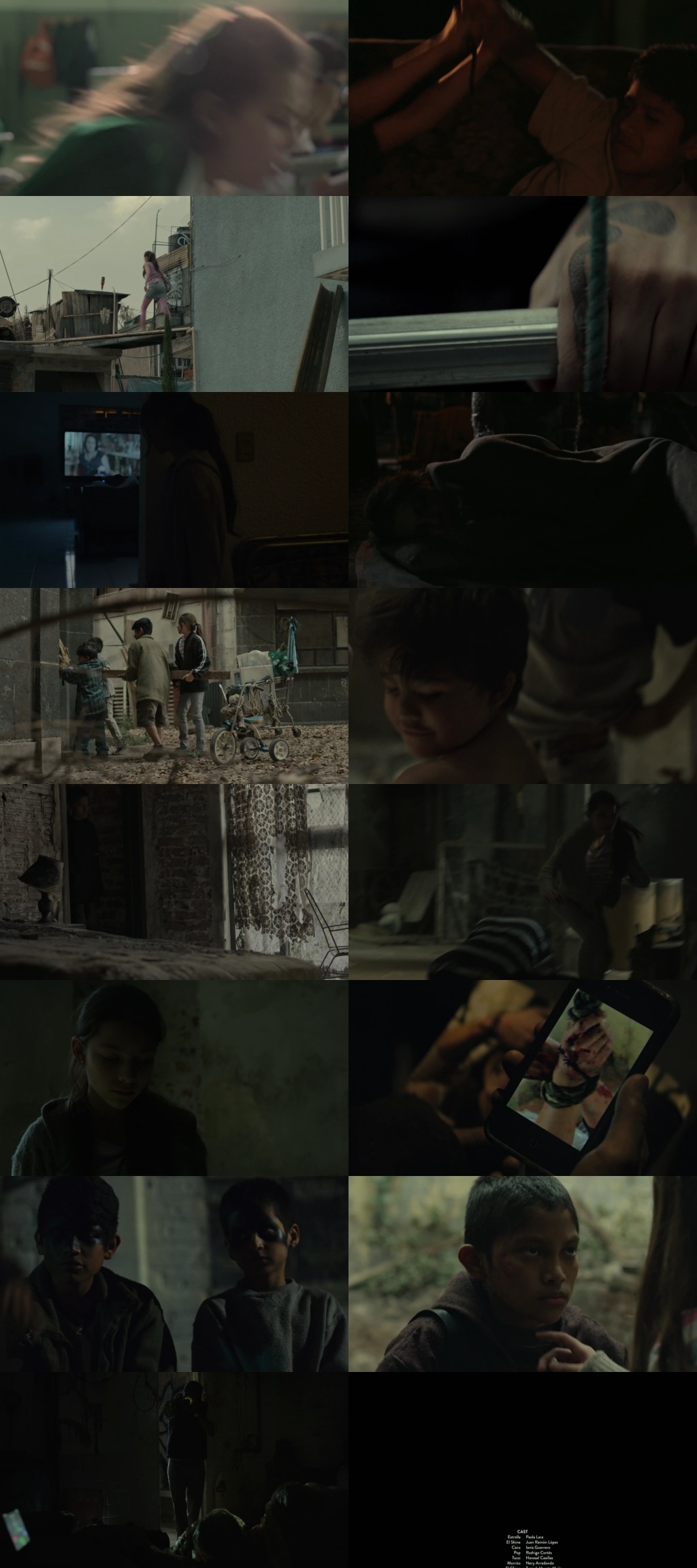 Tigers Are Not Afraid 2017 Hindi Dual Audio 1080p 720p 480p Web-DL MSubs HEVC Tigers Are Not Afraid 2017 Hindi Dual Audio 1080p 720p 480p Web-DL MSubs HEVC