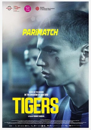 Tigers.2020.720p.WEBRip.BEN 2