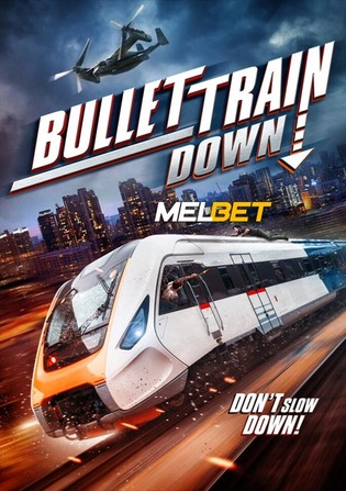 Bullet Train Down 2022 WEBRip Hindi (Voice Over) Dual Audio 720p