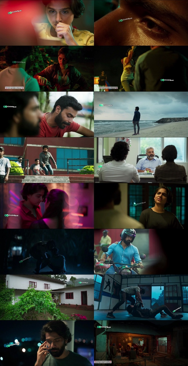 Mike 2022 Hindi Dual Audio 1080p 720p 480p UNCUT HDRip ESubs HEVC