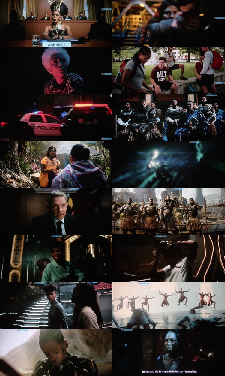 Black Panther Wakanda Forever (2022) 1080p | 720p | 480p Pre-DVDRip [ORG Hindi (DD2.0)]