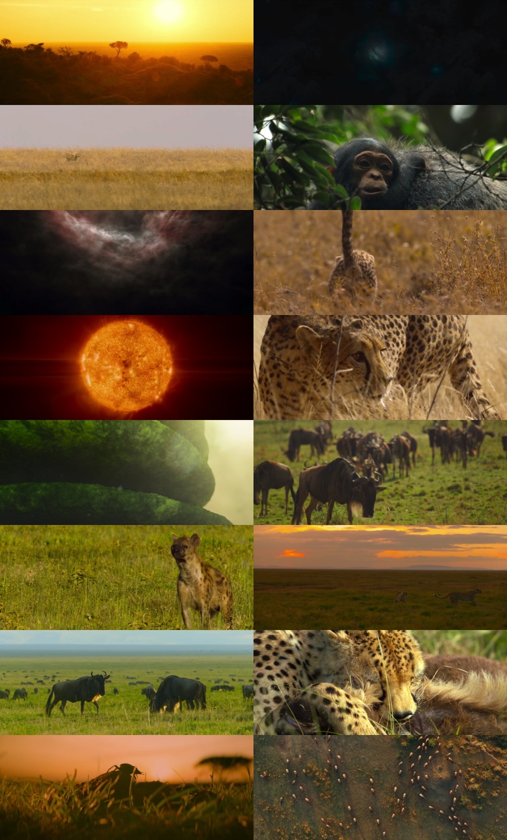 Our Universe 2022 S01 Complete Hindi Dual Audio 1080p 720p 480p Web-DL MSubs