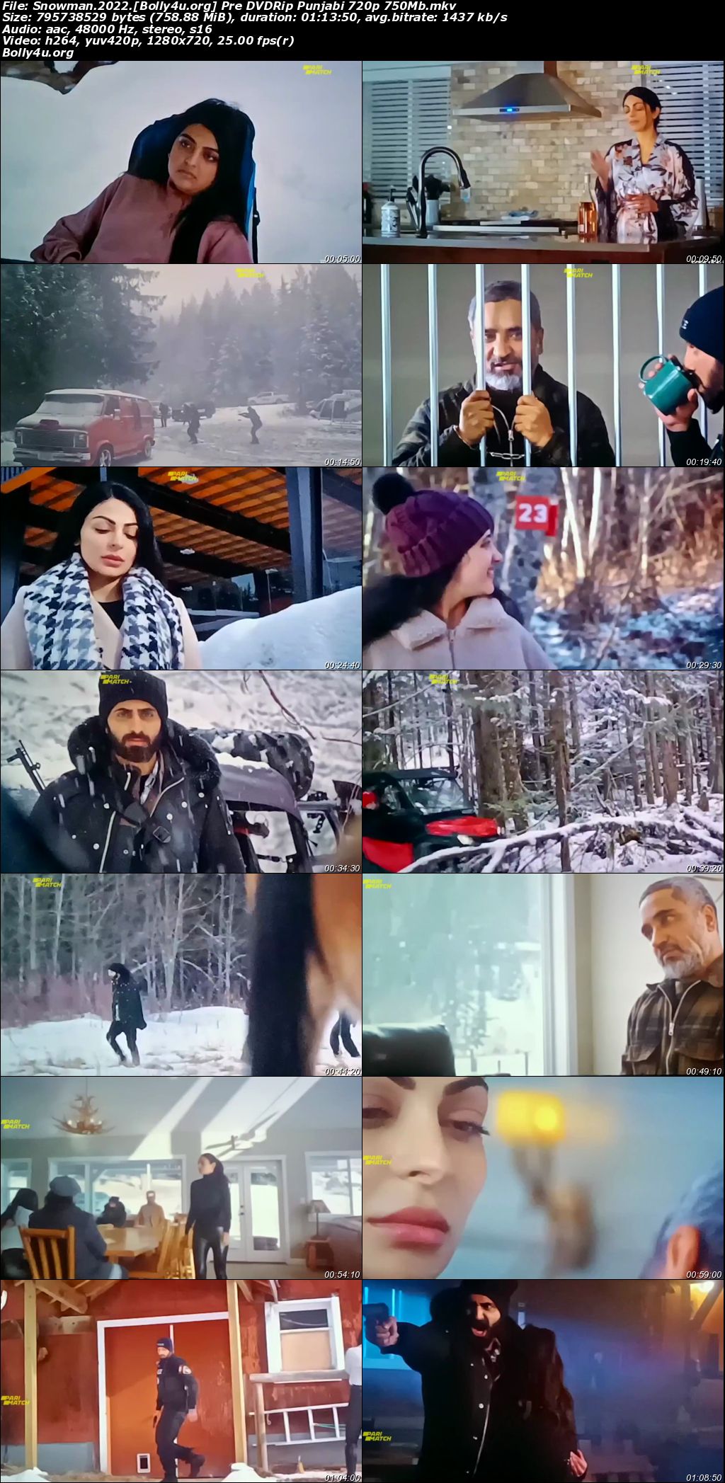 Snowman 2022 Pre DVDRip Hindi Full Movie Download 720p 480p