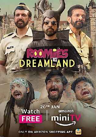 Roomies 2023 WEB-DL Hindi S04 Complete Download 720p 480p Watch Online Free Bolly4u